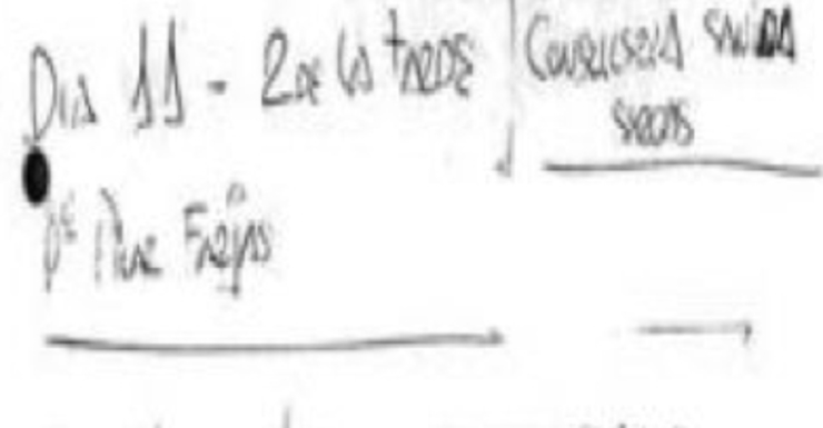 Anotación da axenda de Joaquín Varela (director do IGAPE imputado) no que se recolle a reunión de Dorribo con Feijóo en San Caetano