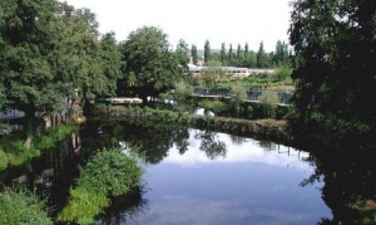 Río Arnoia