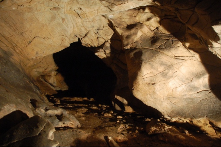 Vista xeral do interior de Cova Eirós 