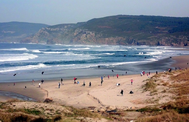 Papaventos na praia do Rostro de Fisterra