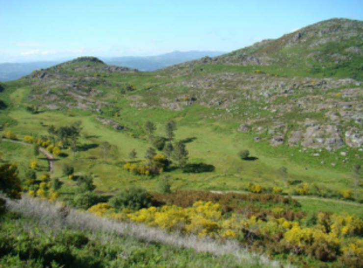 Espacio onde se abrirá a mina de Melón / montesdeguillade.blogaliza.or 