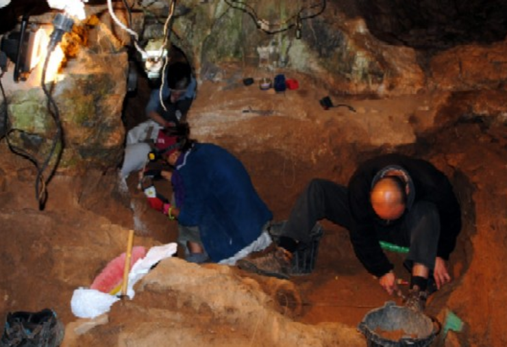 Na cova de Valdavara atopouse ente de leite, moi desgastado, de hai uns 17.000 anos, e pertencente a un neno duns 10 anos. Arqueólogos do IPHES (Instituto Catalán de Paleoecoloxía Humana e Evolución Social) encontrou, na Cova de Valdavara (Becerreá, Lugo), un dente infantil, de hai uns 17.000 anos,