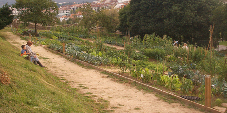 Hortas urbanas en Belvís