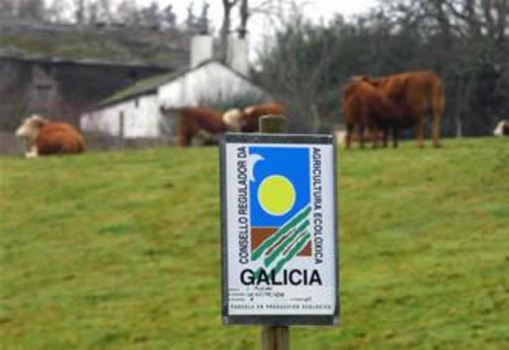 Unha explotación co selo do Consello Regulador de Agricultura Ecolóxica de Galicia