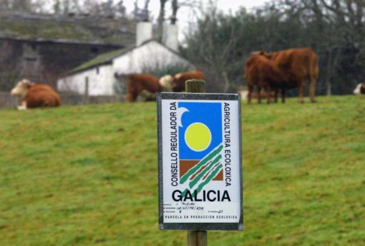 Gandeiría inscrita no Consello Regulador da Agricultura Ecolóxica de Galicia (CRAEGA)/ GC.