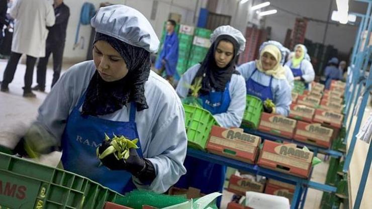 Traballadoras marroquíes en empresas españolas