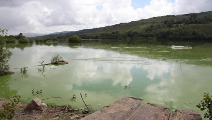 Contaminación por cianobacterias do río Limia/ Ourense Dixital