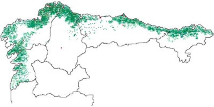 Plantacións de eucalipto no norte da Península