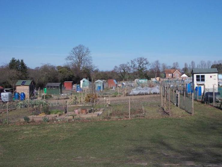 allotment