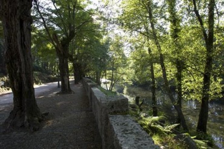 Bosque do Gran Hotel de Mondariz-Balneario