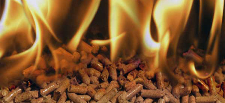 Pellets de biomasa ardendo/ GC