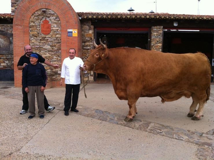 Pezuñas, o boi de raza rubia galega que chegou aos 2.200 quilos / delascosasdelcomer.com