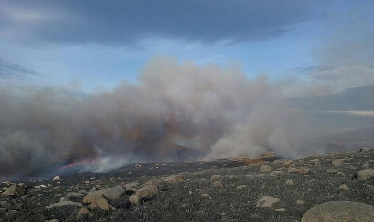 Lume forestal en Vilariño de Conso / Twitter Aprafoga