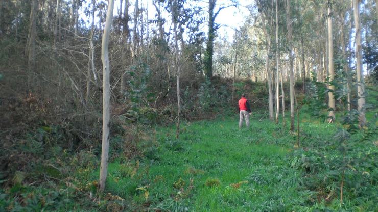 Estrutura circular en Mintiráns, Muxía