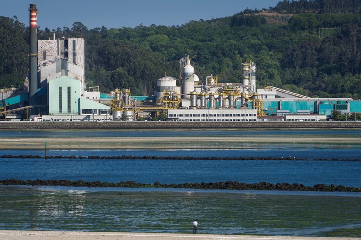 Instalacións de ENCE na beira da Ría de Pontevedra, en Lourizán 