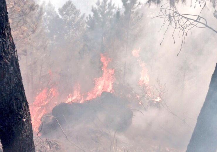 Incendio no Parque Natural do Xurés publicada pola BRIF de Laza