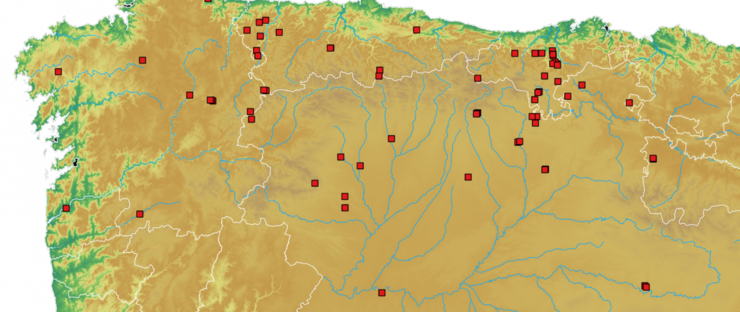 Presencia dos campamentos romanos no norte da península Ibérica Ubicación dos campamentos romanos no norte da Península Ibérica