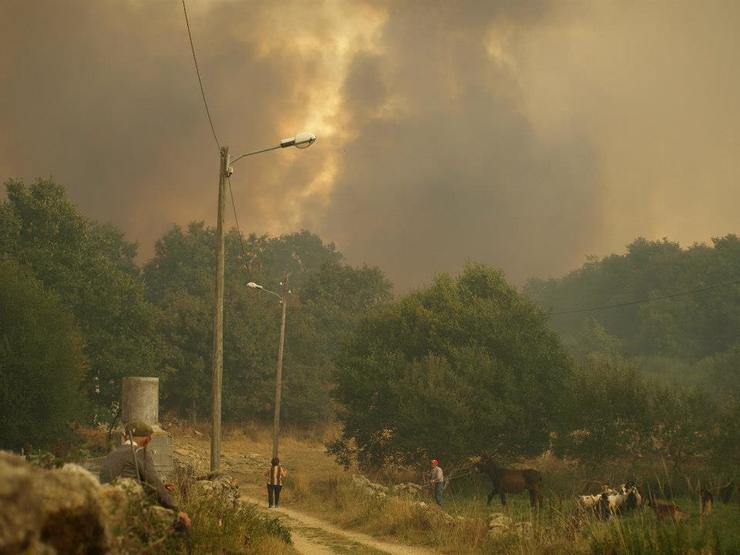 Un lume aproxímase as casas en Cualedro 