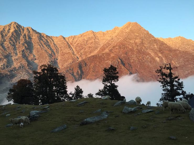 Día da acampada diante das montañas do Himalaia preto de Dharamsala 