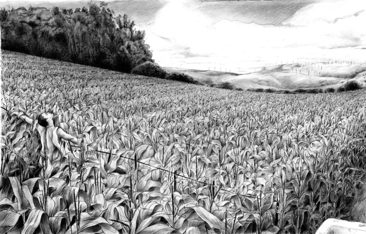 Espantalho no millo, unha das ilustracións de Desconhecido 