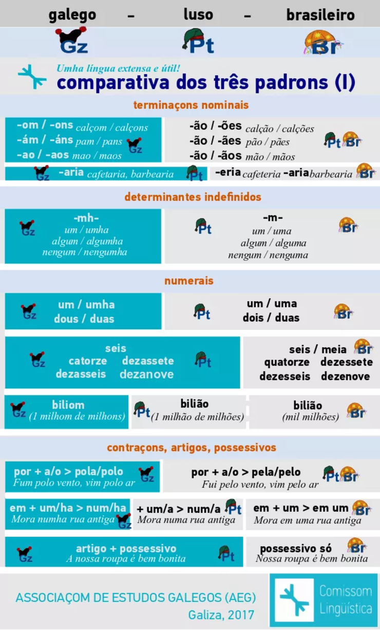 Primeira infografía da iniciativa 'Umha língua extensa e útil!', da Associaçom de Estudos Galegos 