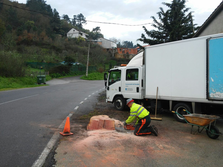 Cortan un carballo de 160 anos en Ourense 