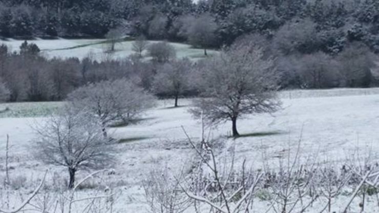A neve chegou a Vila de Cruces, en Pontevedra 