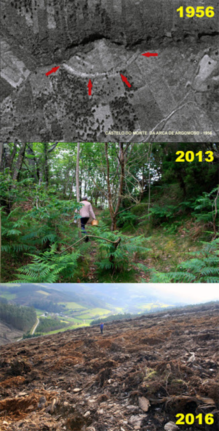 O antes e o despois do castro de Castelo de Monte da Arca, en Mondoñedo