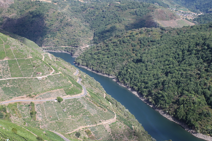 Canón do Sil