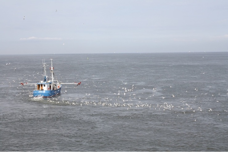 Barco pesqueiro no Atlántico Norte 