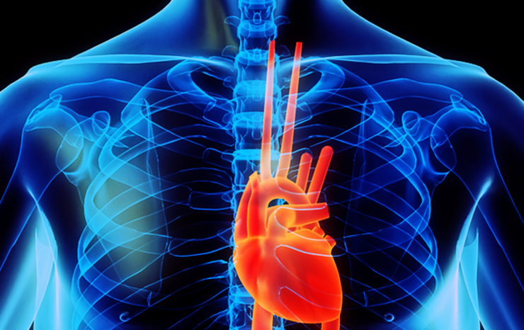 Os galegos sofren máis riscos cardiovasculares que a media en España.