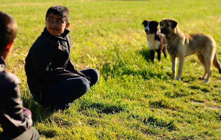 Nenos refuxiados achéganse a unha parella de cans no campo de Idomeni, en Grecia 