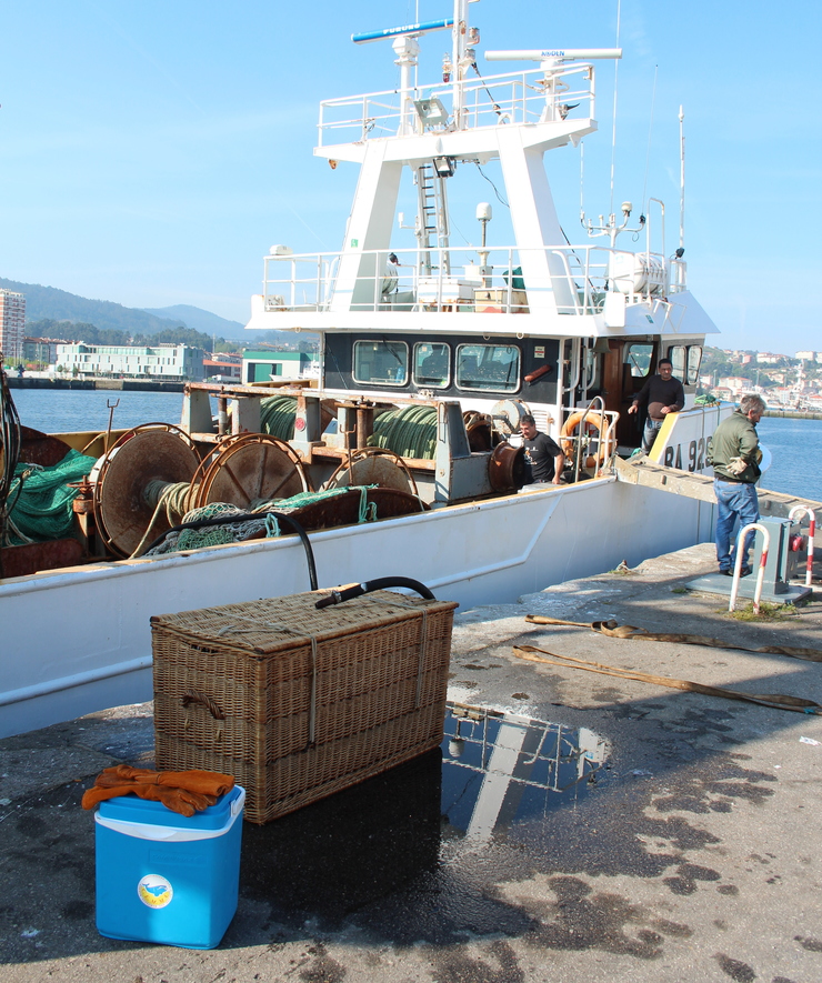 O lobo mariño Camelle foi embarcado no arrastreiro 'Ferreira Martínez' no porto de Marín para ser devolto ao mar 