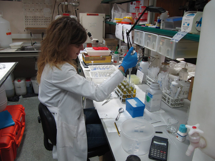 Marina Gómez, analizando mostras de algas no laboratorio 