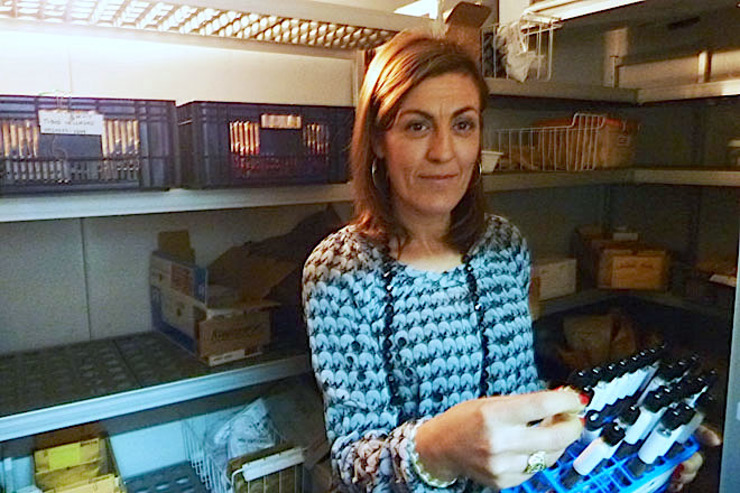 Elena Cartea González, directora da Misión Biolóxica de Galicia / campogalego.com.
