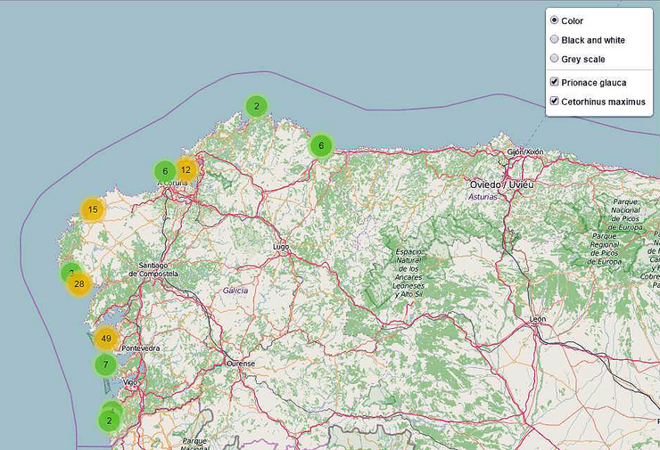 Mapa de avistamentos de tiburóns peláxicos na costa galega. En amarelo, quenllas rexistradas; en verde, tiburóns peregrinos 