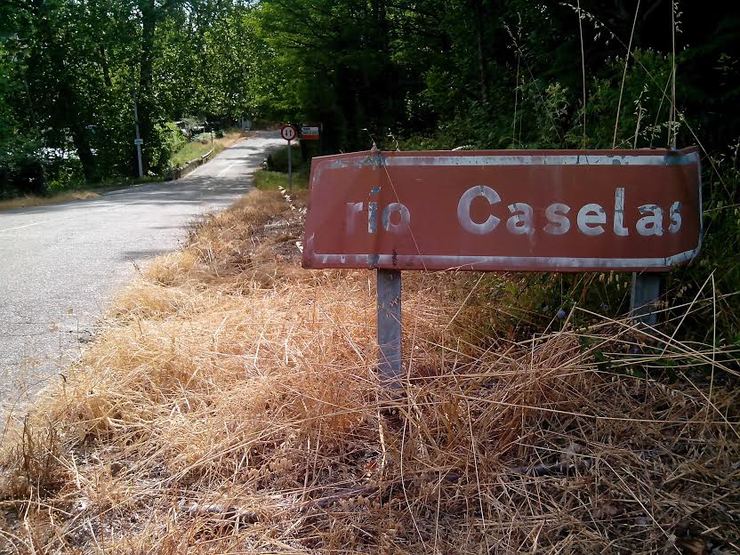 Herba seca tras aplicar produtos químicos nas beiras do río Caselas, en Salvaterra / Lazoiro