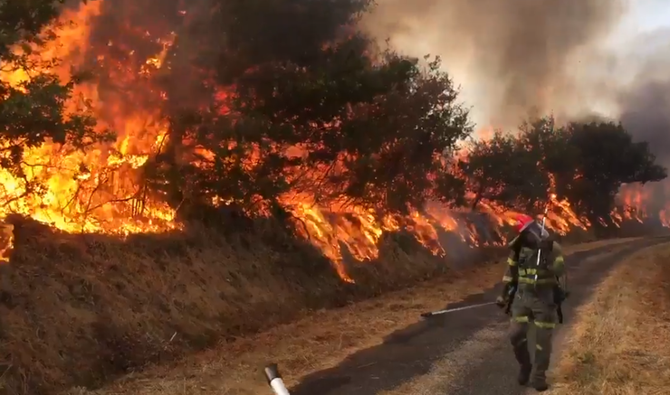 Brigadista ante o lume nun incendio en Lalín 