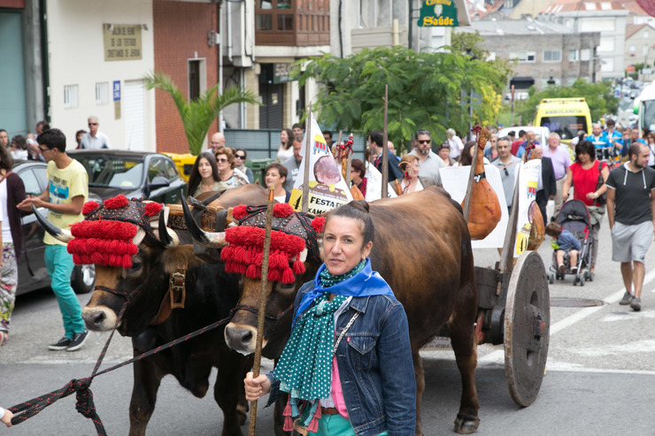 Carros de bois con xamón