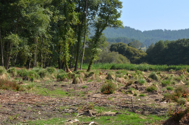 As brañas de Laíño, unha vez taladas 