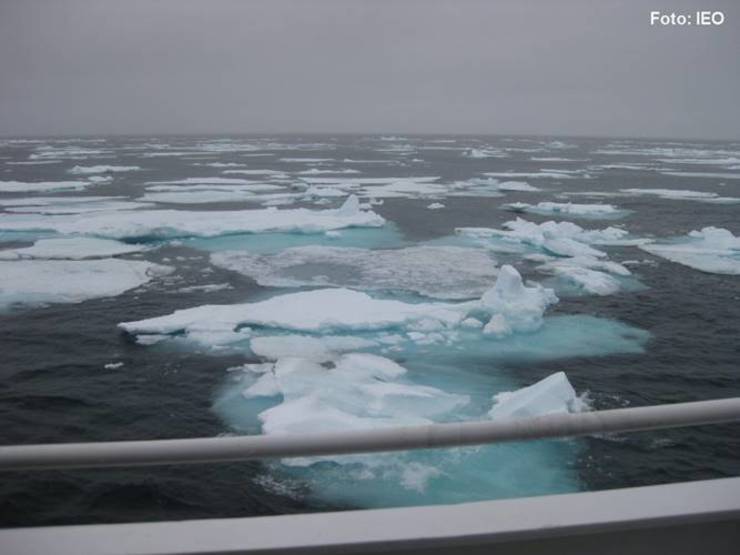 Campaña de prospección pesqueIra no Ártico nororiental / IEO.