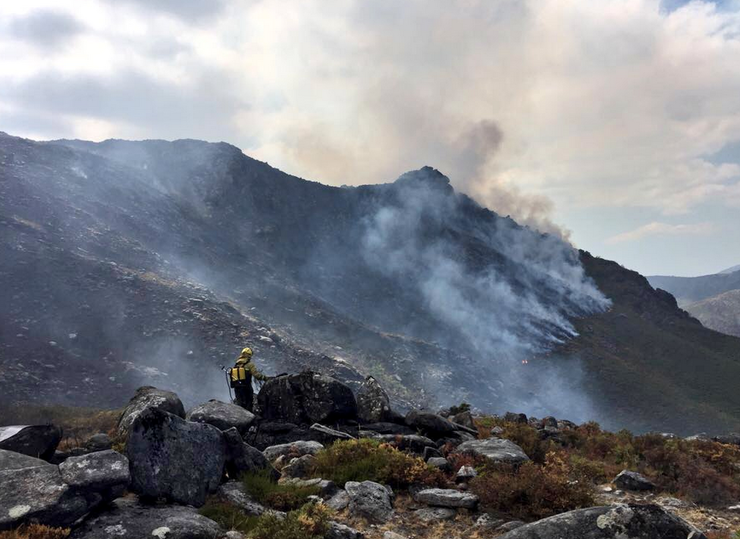 Anterior incendio forestal en Entrimo 