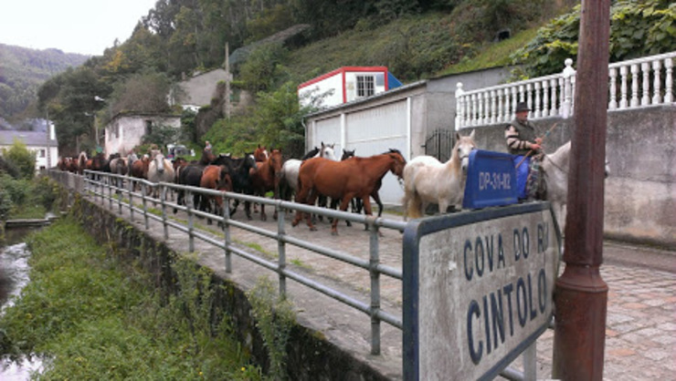 Os cabalos ao seu paso polo barrios dos Muíños durante As San Lucas de Mondoñedo