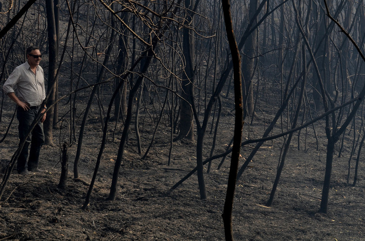 Bosque arrasado polo lume, en plena onda de incendios en Galicia a mediados de outubro de 2017 
