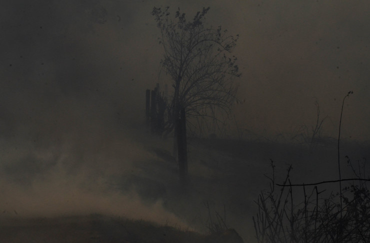Imaxe desoladora en Pazos de Borbén, en plena onda de incendios en Galicia a mediados de outubro de 2017 
