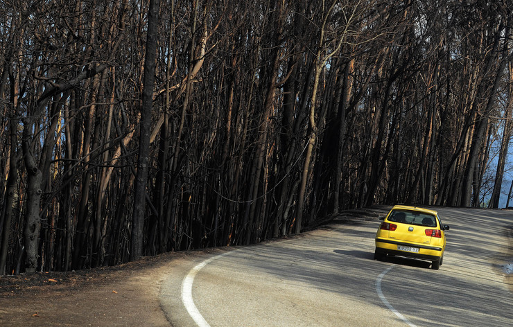 Zona do parque forestal Monte dos Pozos en Vigo queimada polo lume, tras os devastadores incendios que arrasaron Galicia en pleno outubro / Miguel Núñez.