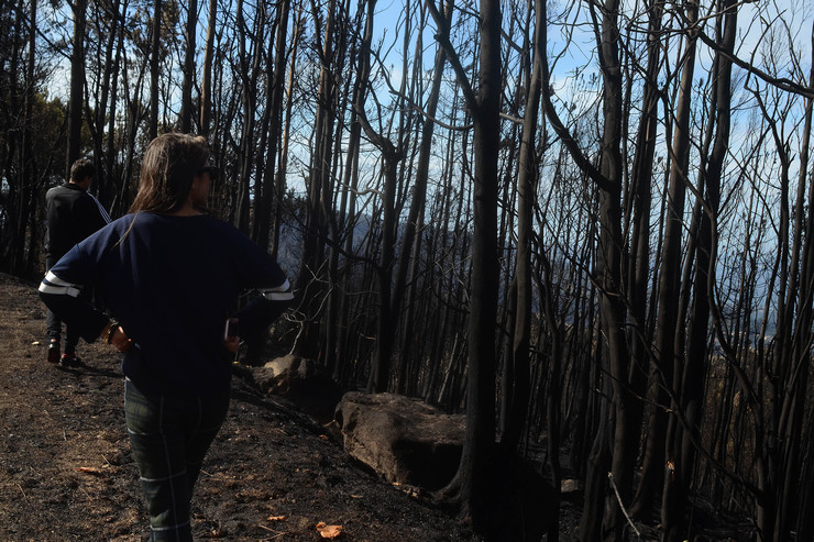 Monte arasado polo lume na parroquia de Valladares (Vigo), tras os devastadores incendios que asolaron a zona e boa parte de Galicia en pleno outubro 