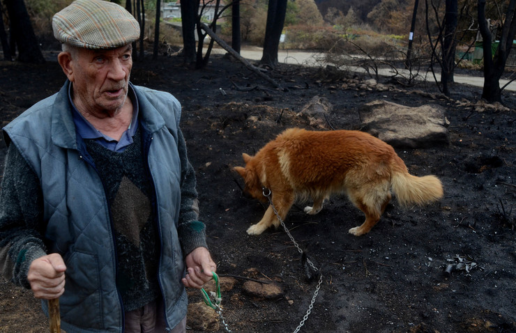 Agustín Caldas pasea co seu cadelo pola zona da Pousa en As Neves, totalmente calcinada trala vaga de lumes que asolou Galicia en outubro de 2017 