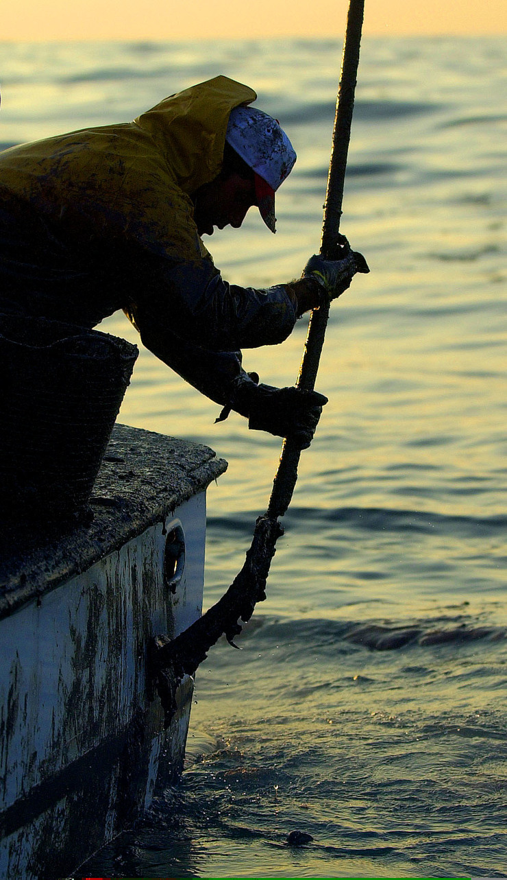 Voluntarios limpan do mar chapapote do 'Prestige' 