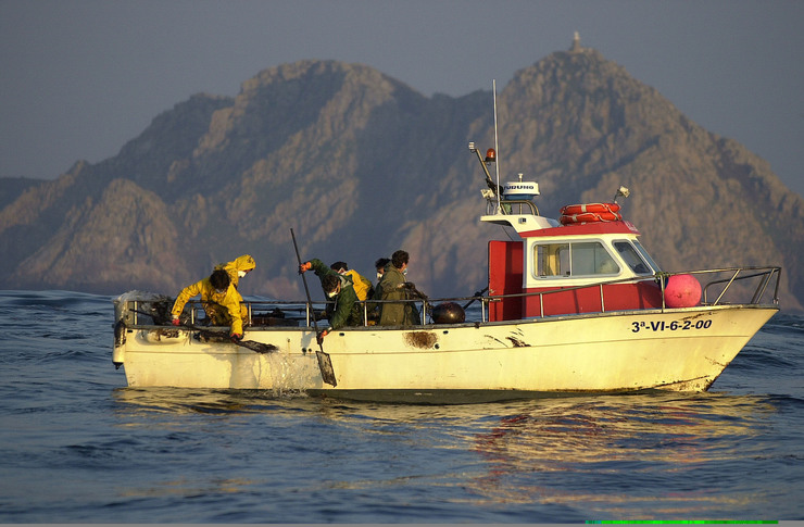 Voluntarios limpan do mar chapapote do 'Prestige' 